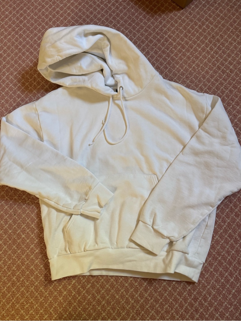 Aritzia TNA classic white hoodie